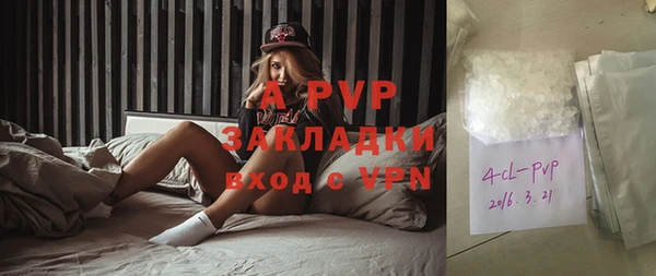 молекула духа Балахна