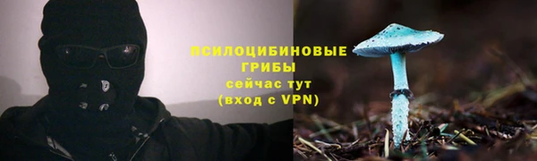 дживик Балабаново